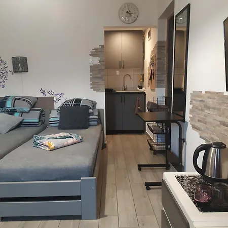 Apartamenty Barbara Ustron Jaszowiec Room photo